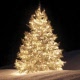  Kerstverlichting