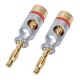 Connector / Stekker / Plug 